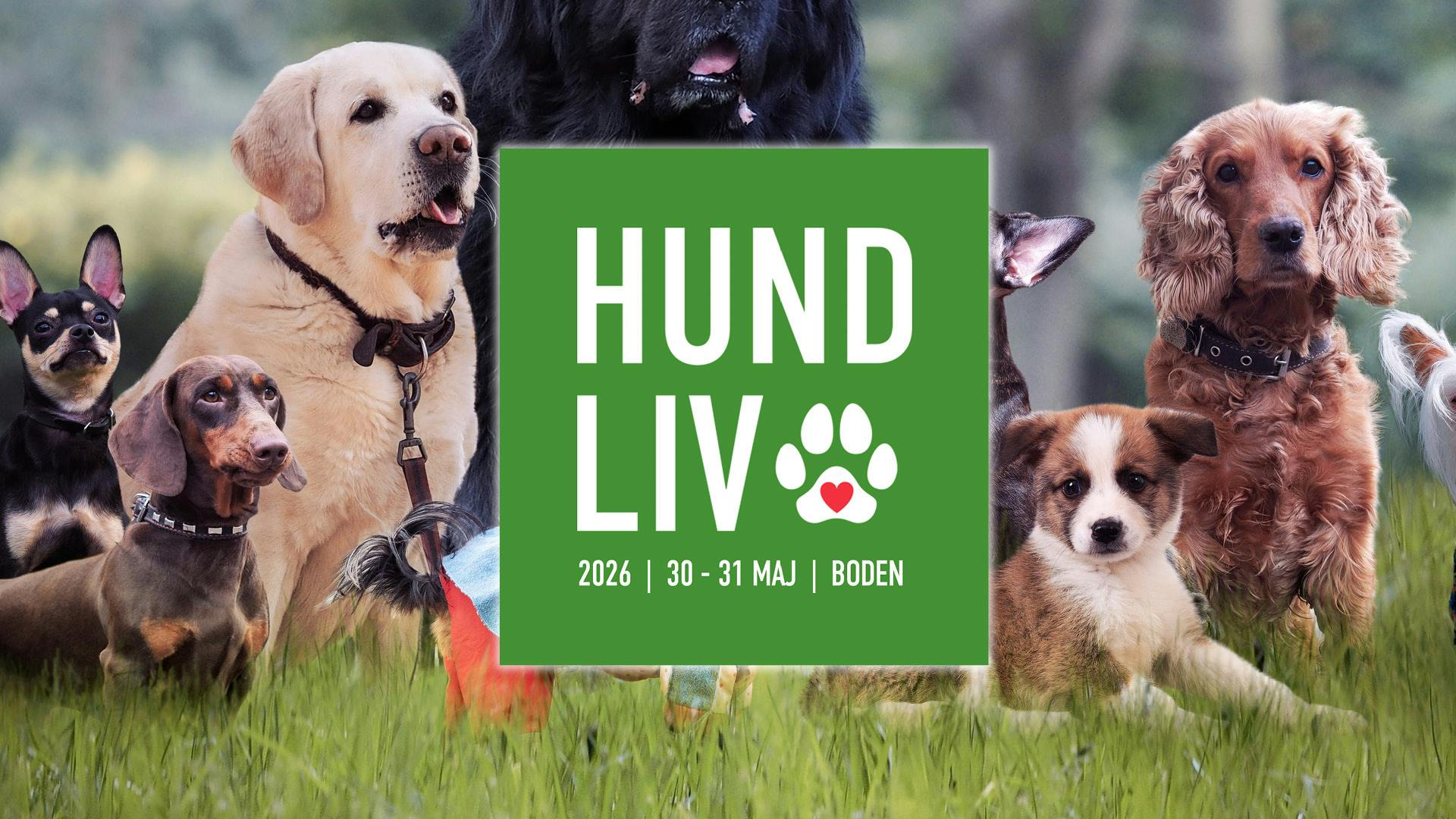 Hundliv - ett hundevenemang & internationell hundutställning 
