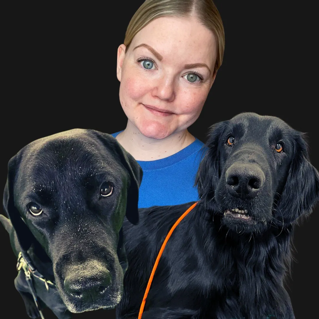 @helt_orimligt med Herman och Nemo på Hundliv 30 - 31 maj